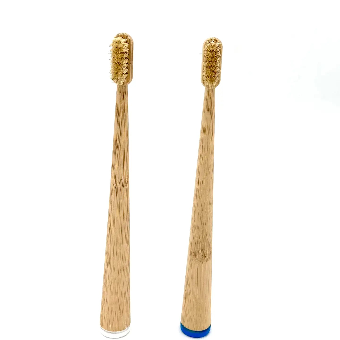 Bamboo & Boar Bristle Compostable Toothbrush