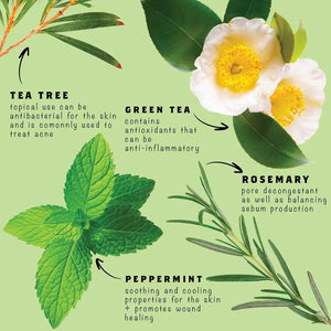 Face Blemish Stick w/ Menthol & Tea Tree For Acne