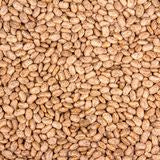 Pinto Beans, Organic