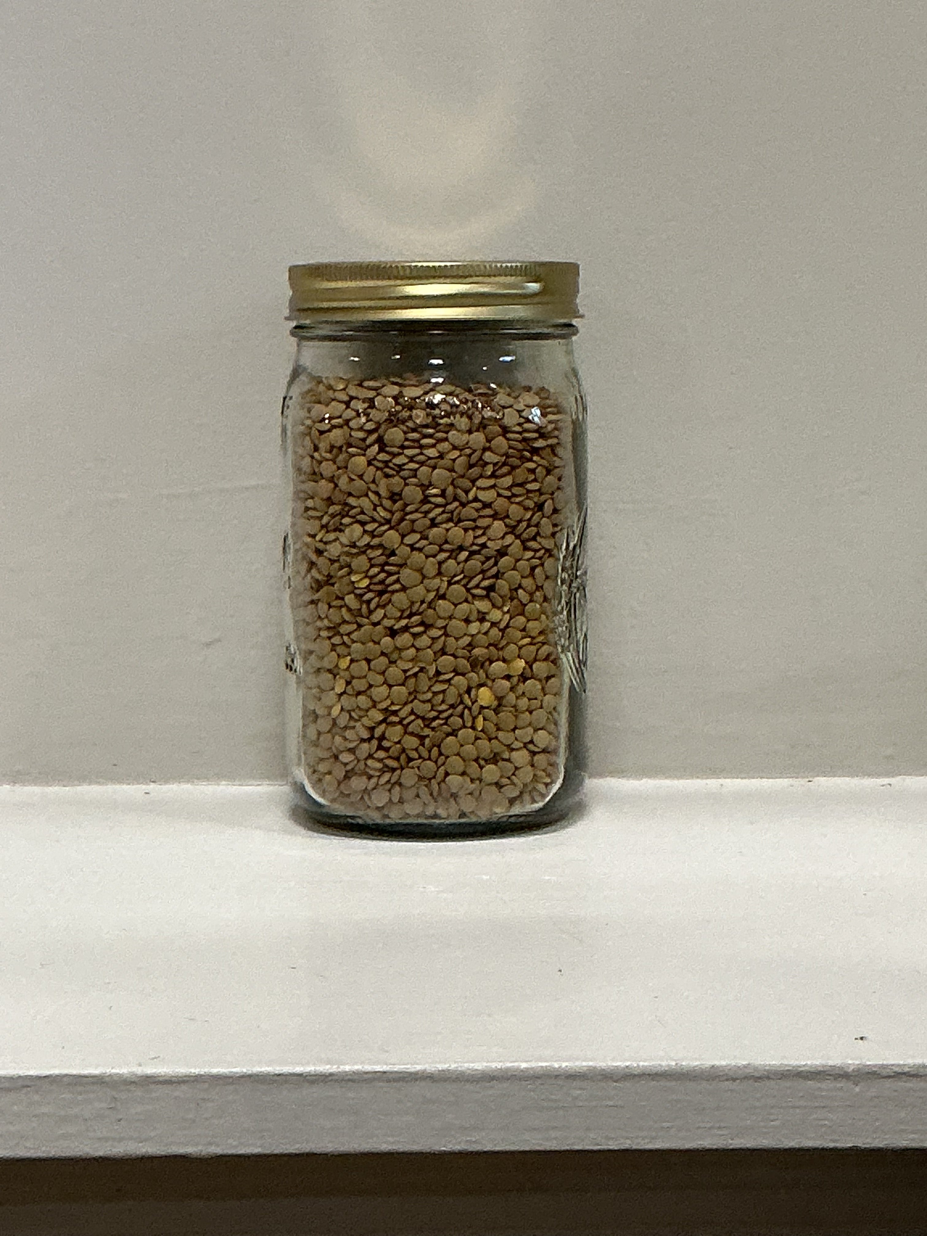 Green Lentils Organic | 22 oz prefill