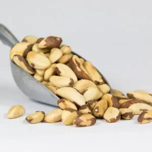Brazil Nuts