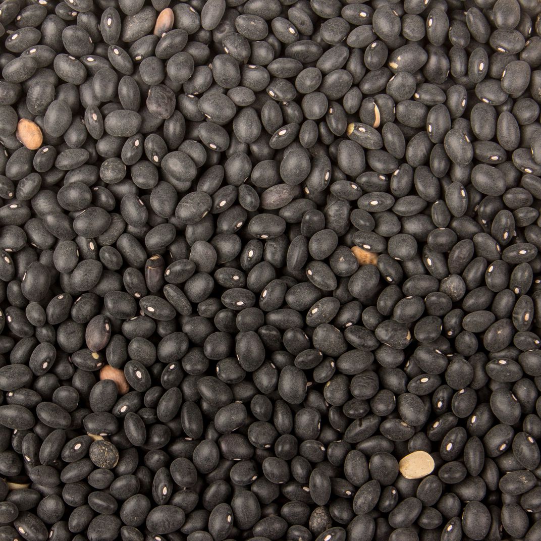 Black Turtle Beans, Organic