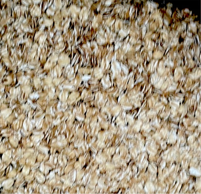 Rolled Oats, Organic - Maine Grains